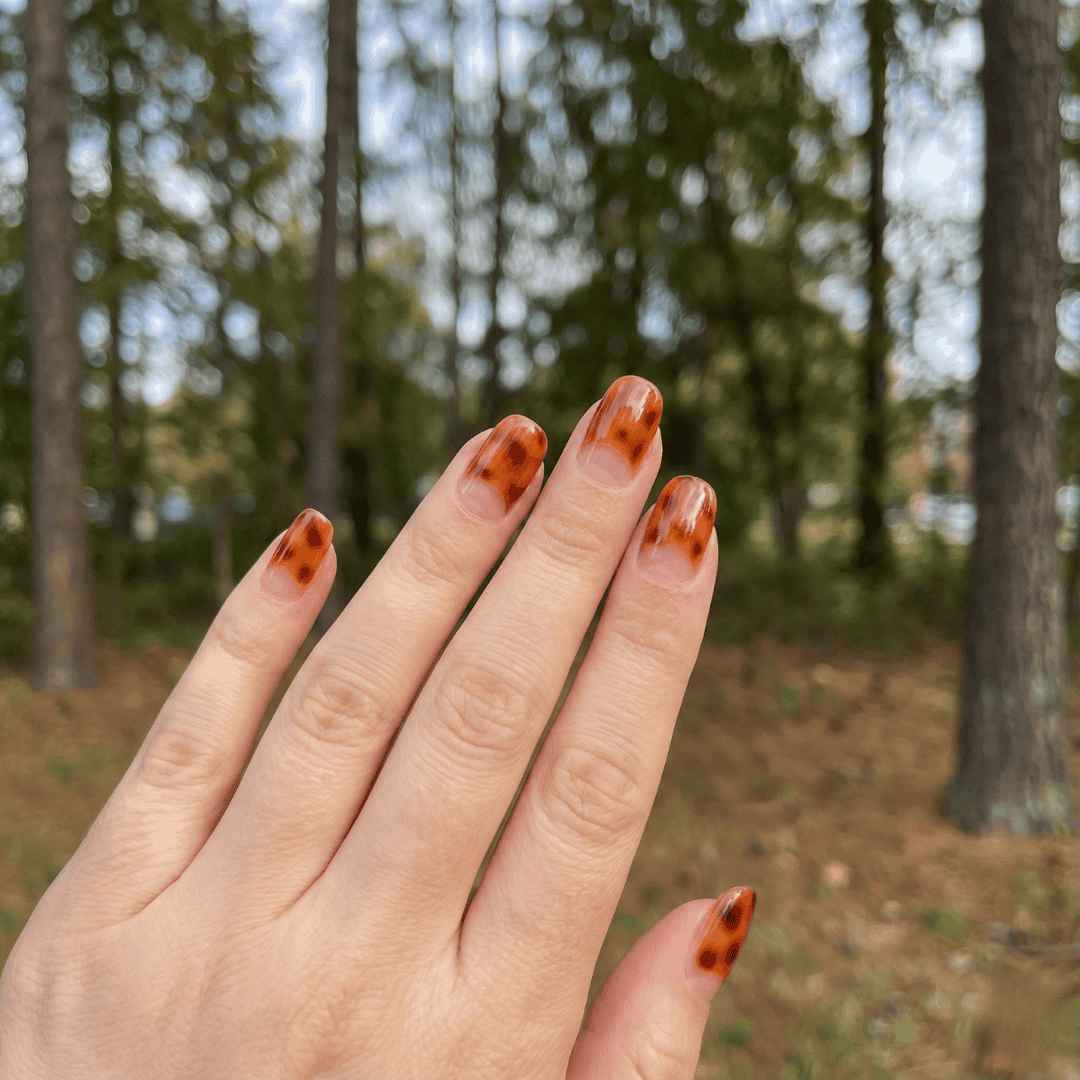 ג'ל קרמל גלייז