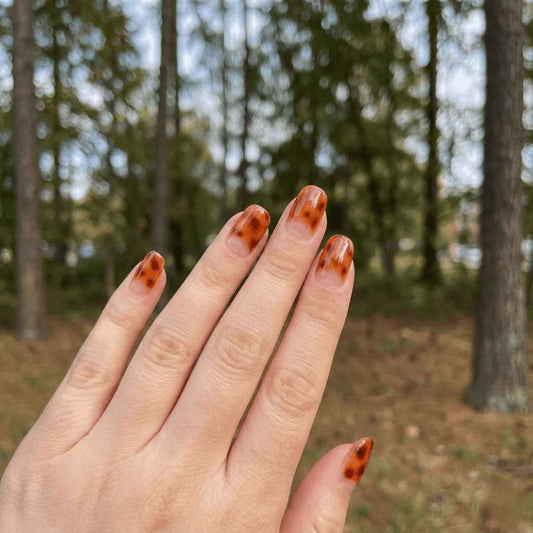 ג'ל קרמל גלייז