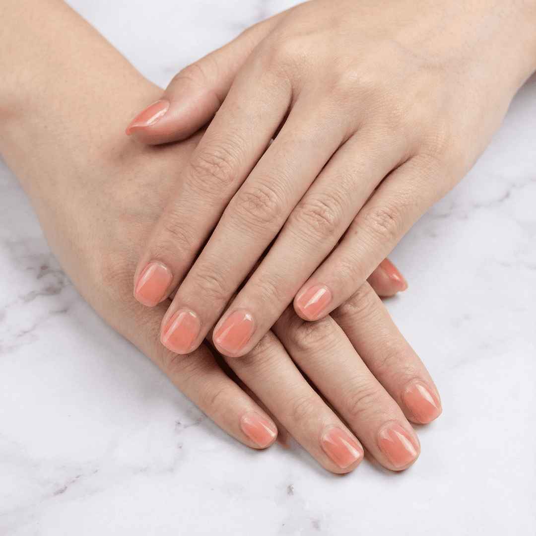 ג'ל ורוד גוונים